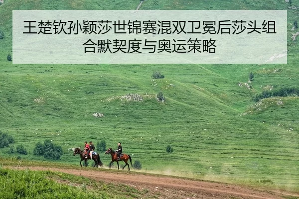 wang-chu-qin-sun-ying-sha-shi-jin-sai-hun-shuang-wei-mian-hou-sha-tou-zu-he-mo-qi-du-yu-ao-yun-ce-lve-1-604.jpg